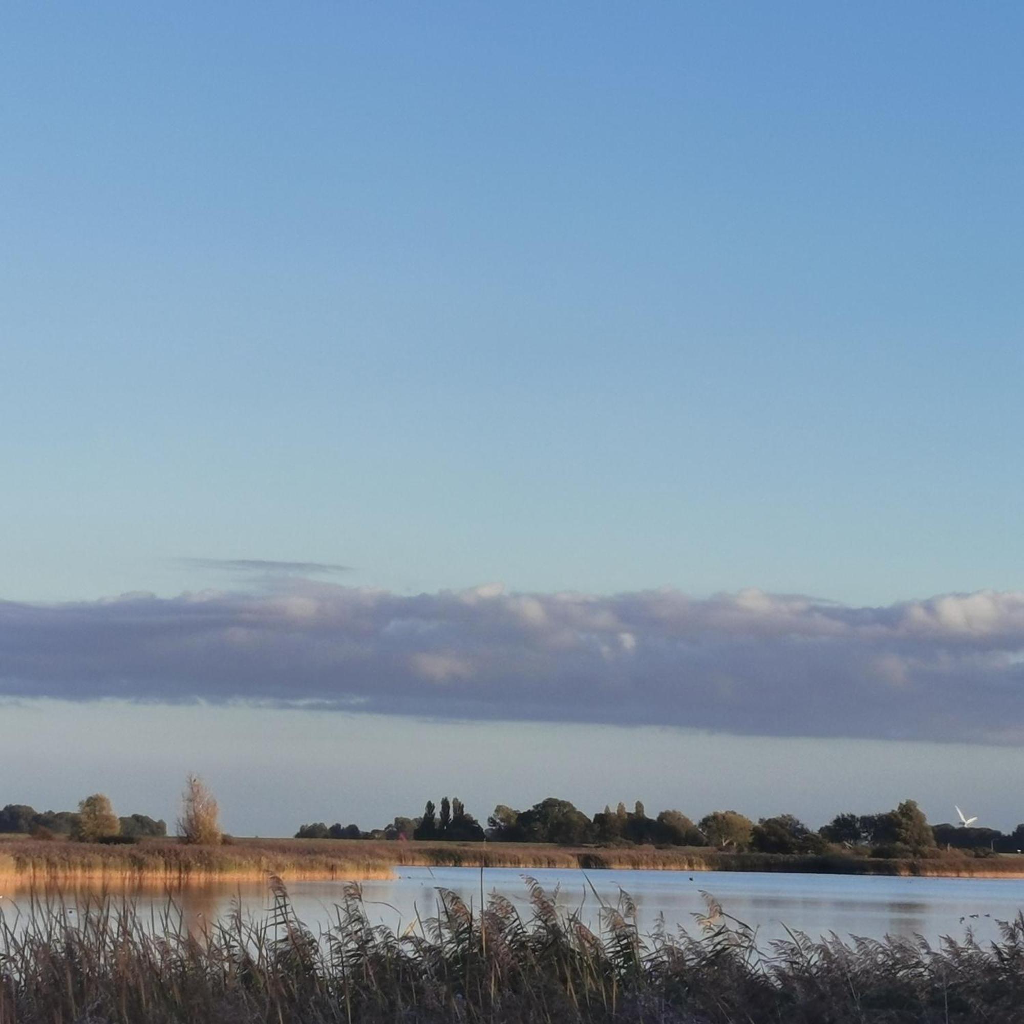 Prachtige Vakantievilla Aan Ijsselmeer Makkum Exterior foto